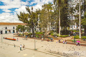  Caldas Park 