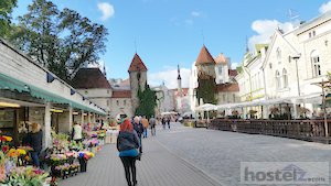  Get to know Tallinn (no more 