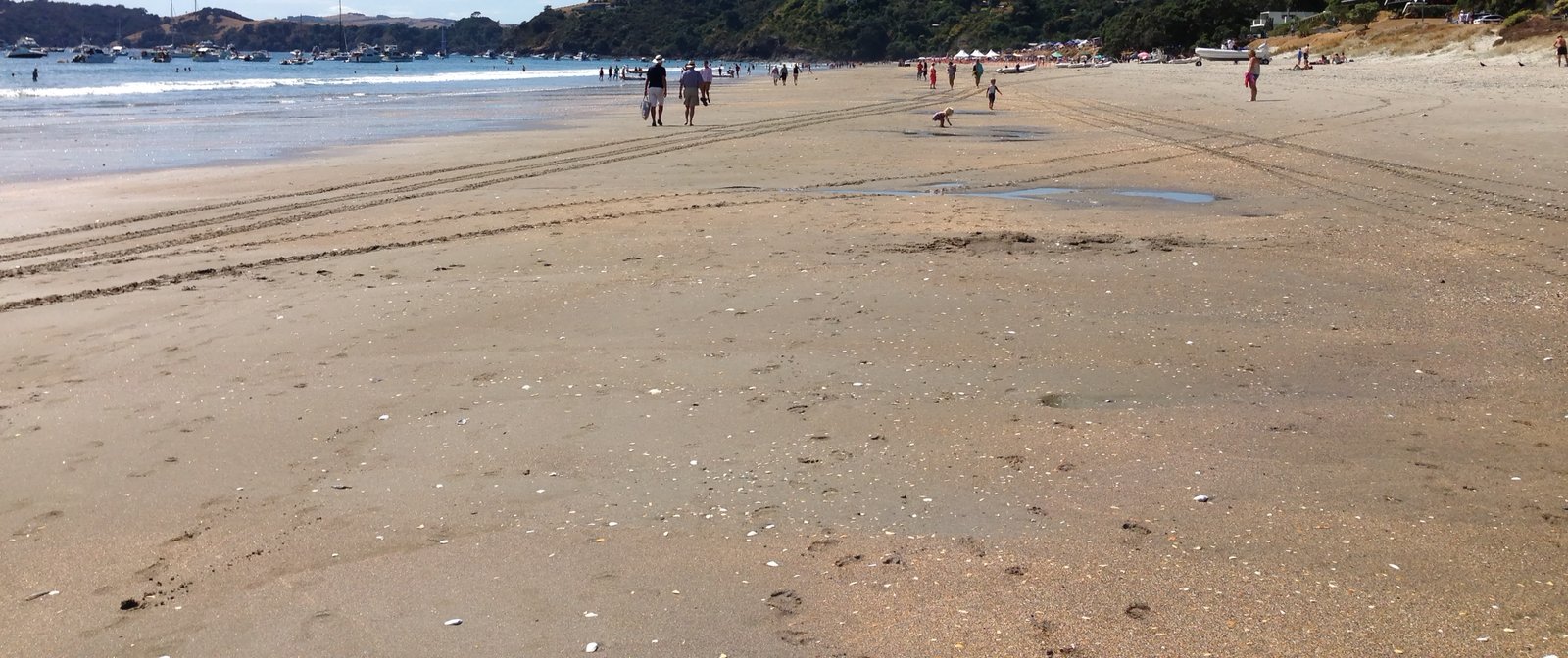 Kina Backpackers Waiheke Island, New Zealand Reviews