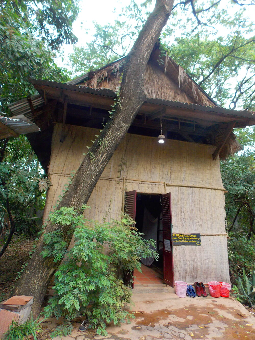 Banyan Tree Hostel, Kampot