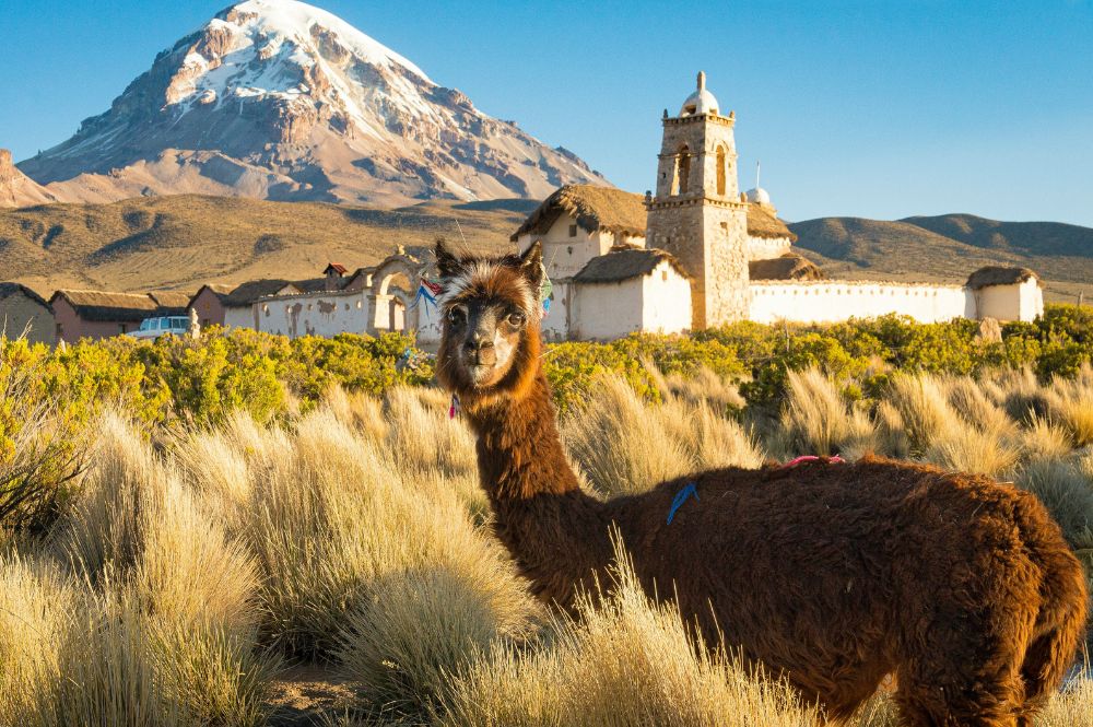 bolivia bolivia