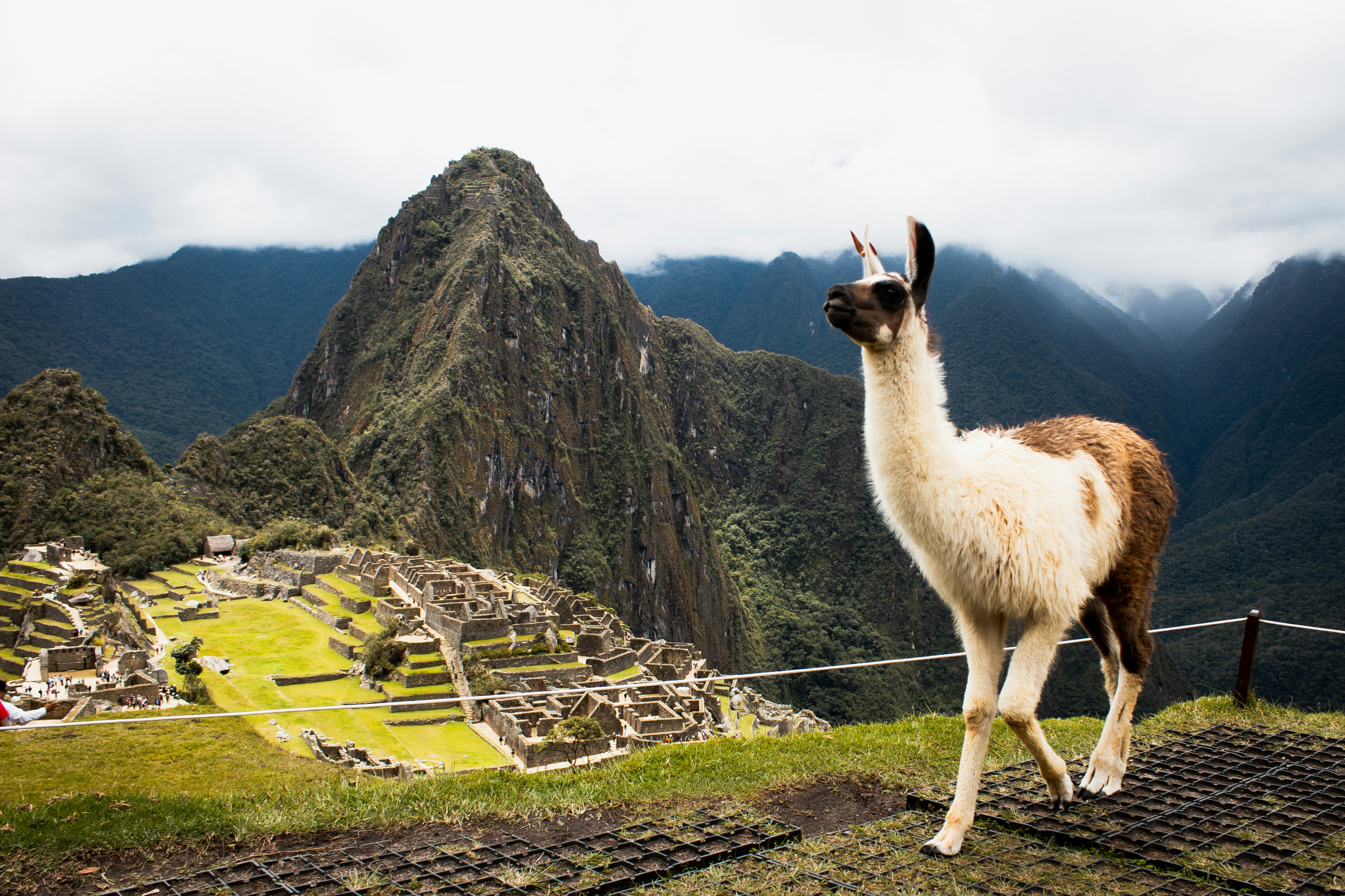 peru