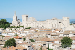  Get to know Avignon (no more 