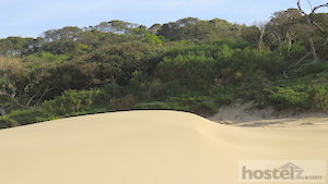  Sand Dune and Coastal Forest 