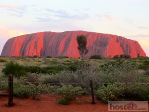  Get to know Uluru / Ayers Rock (no more 