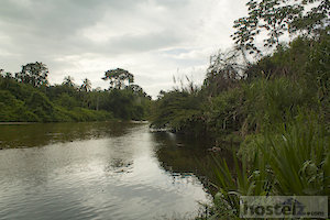  View of the Palomino River 