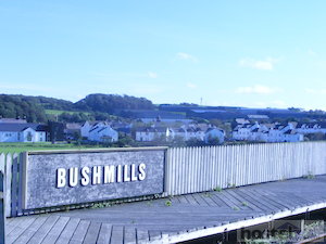  Bushmills 