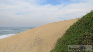  Beach Dune 