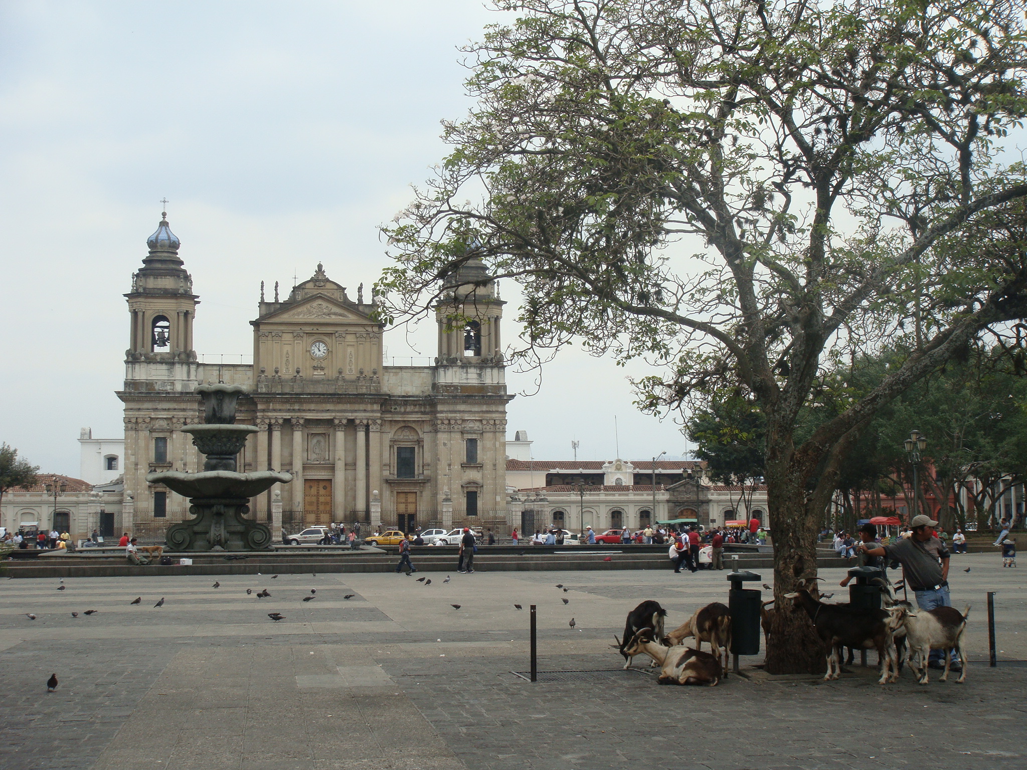 Where to stay in Guatemala City on a budget