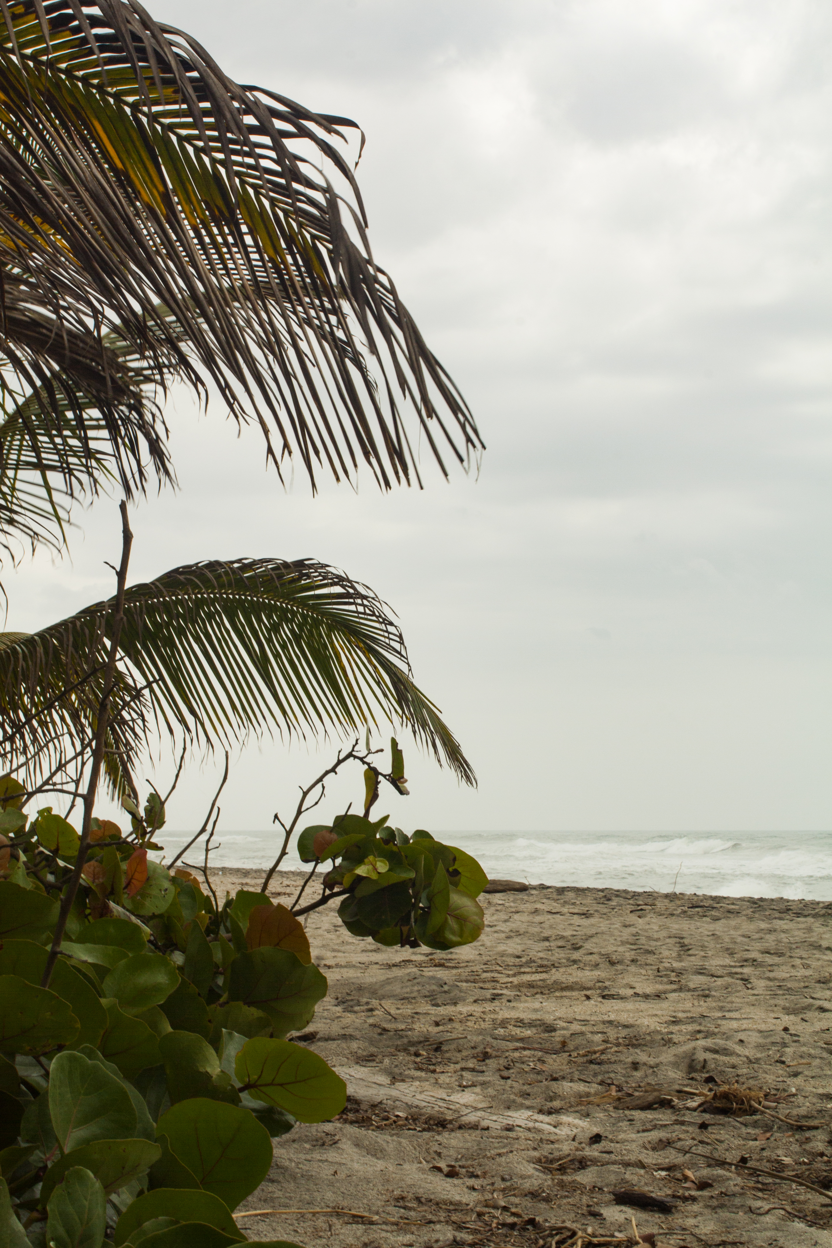 Where to stay in Palomino on a budget Where to stay in Palomino on a budget