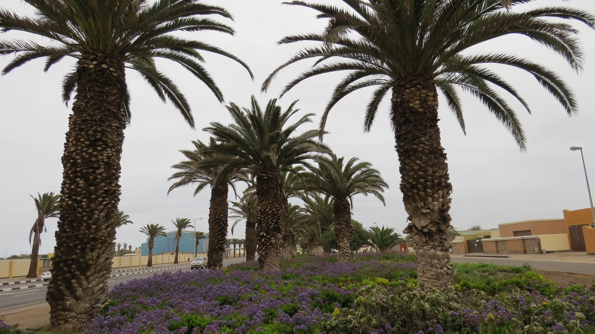 Where to stay in Walvis Bay on a budget