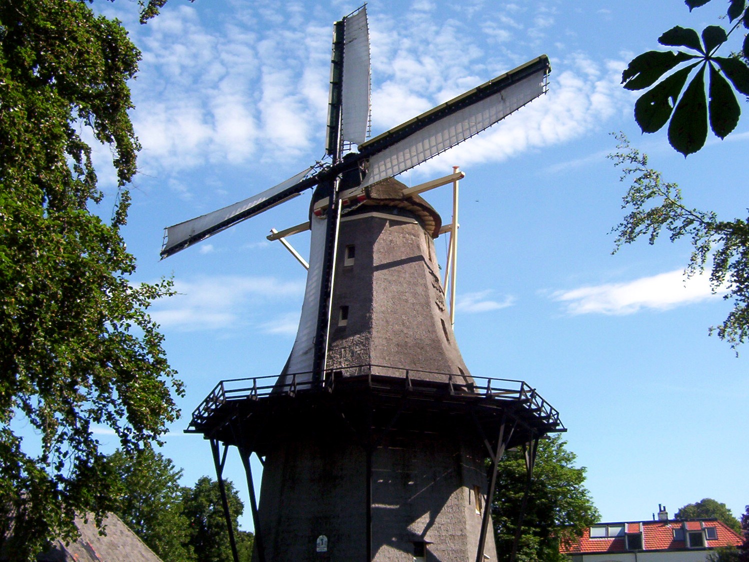Where to stay in Haarlem on a budget