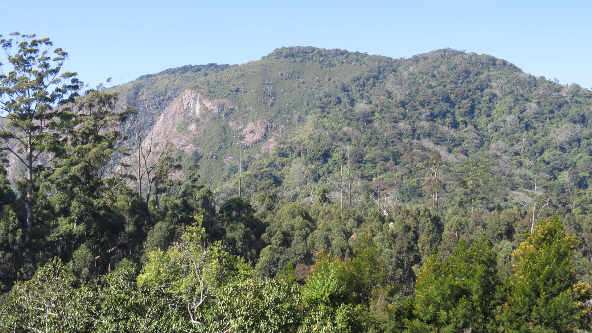 Where to stay in Bvumba on a budget