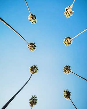 Where to stay in Los Angeles on a budget