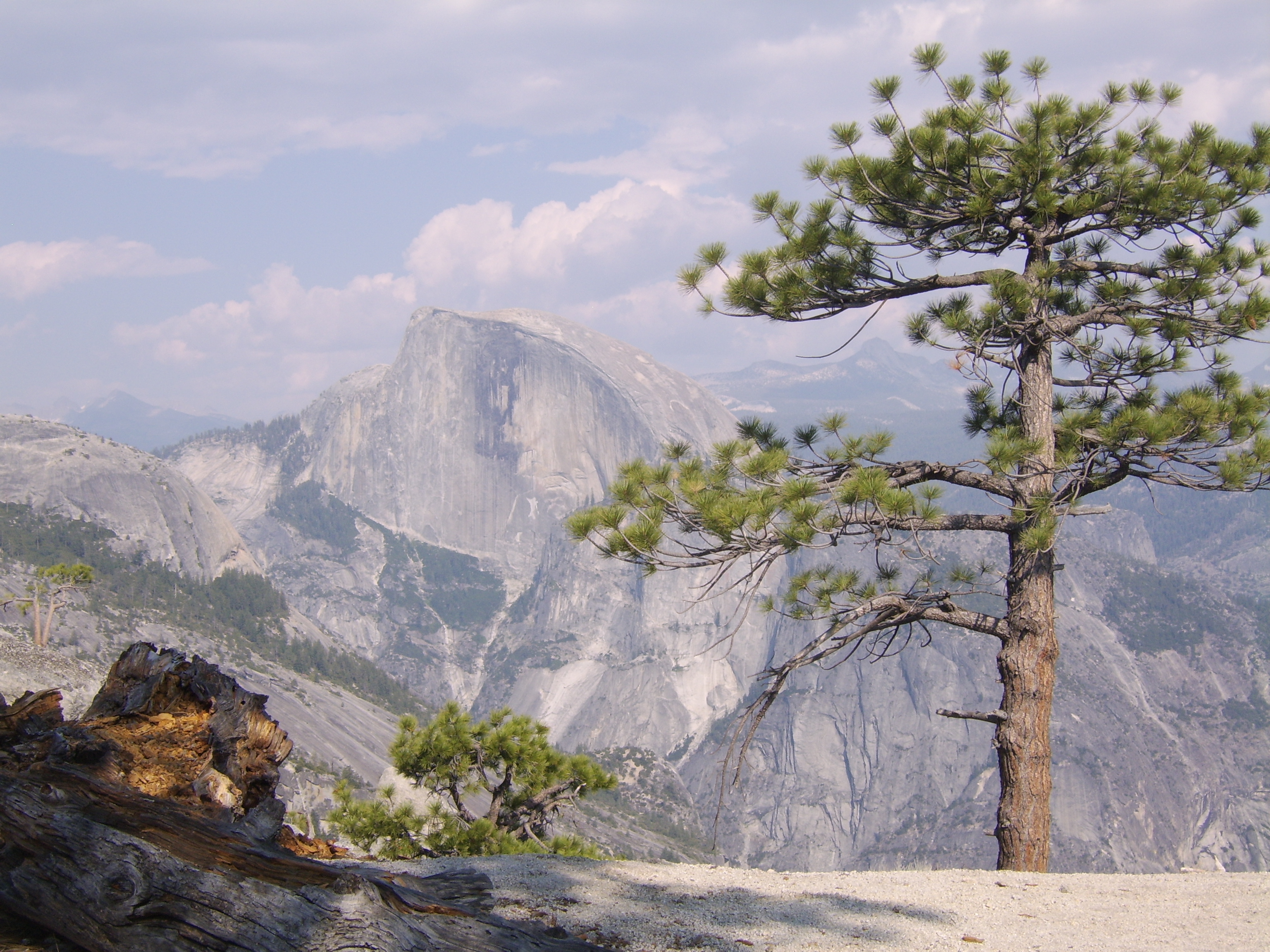 Where to stay in Yosemite on a budget