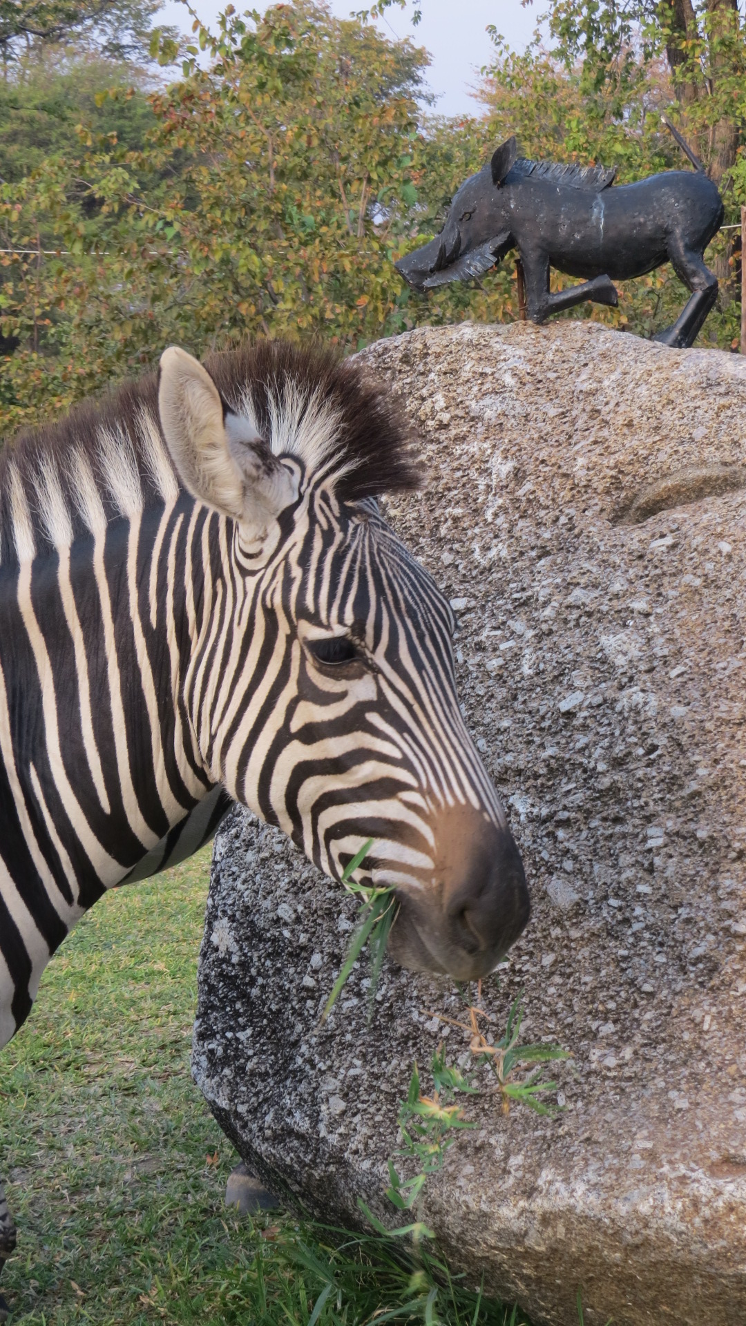 Where to stay in Kariba on a budget