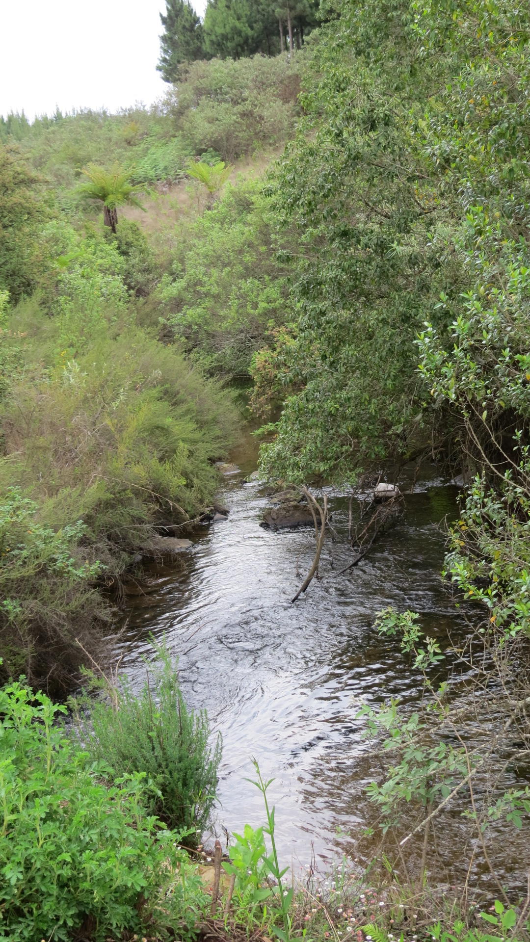 Where to stay in Graskop on a budget Where to stay in Graskop on a budget