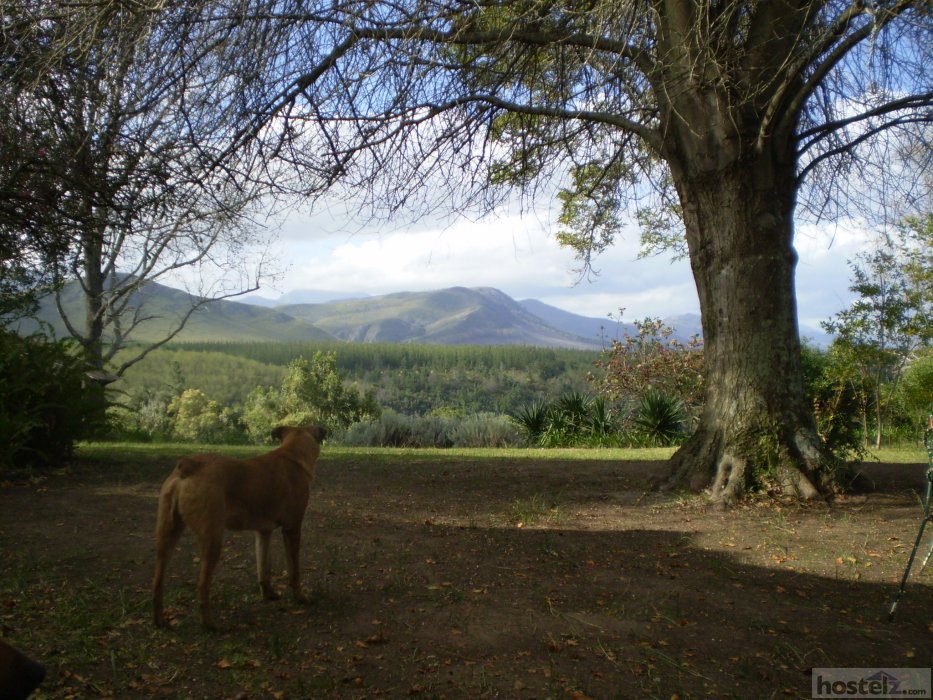 Wild Spirit Lodge & Backpackers, Garden Route Wild Spirit Lodge & Backpackers, Garden Route
