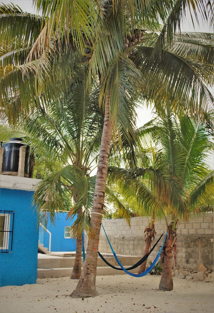 Blue Magic Hostel