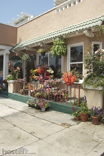 15 Rose, Los Angeles 15 Rose, Los Angeles