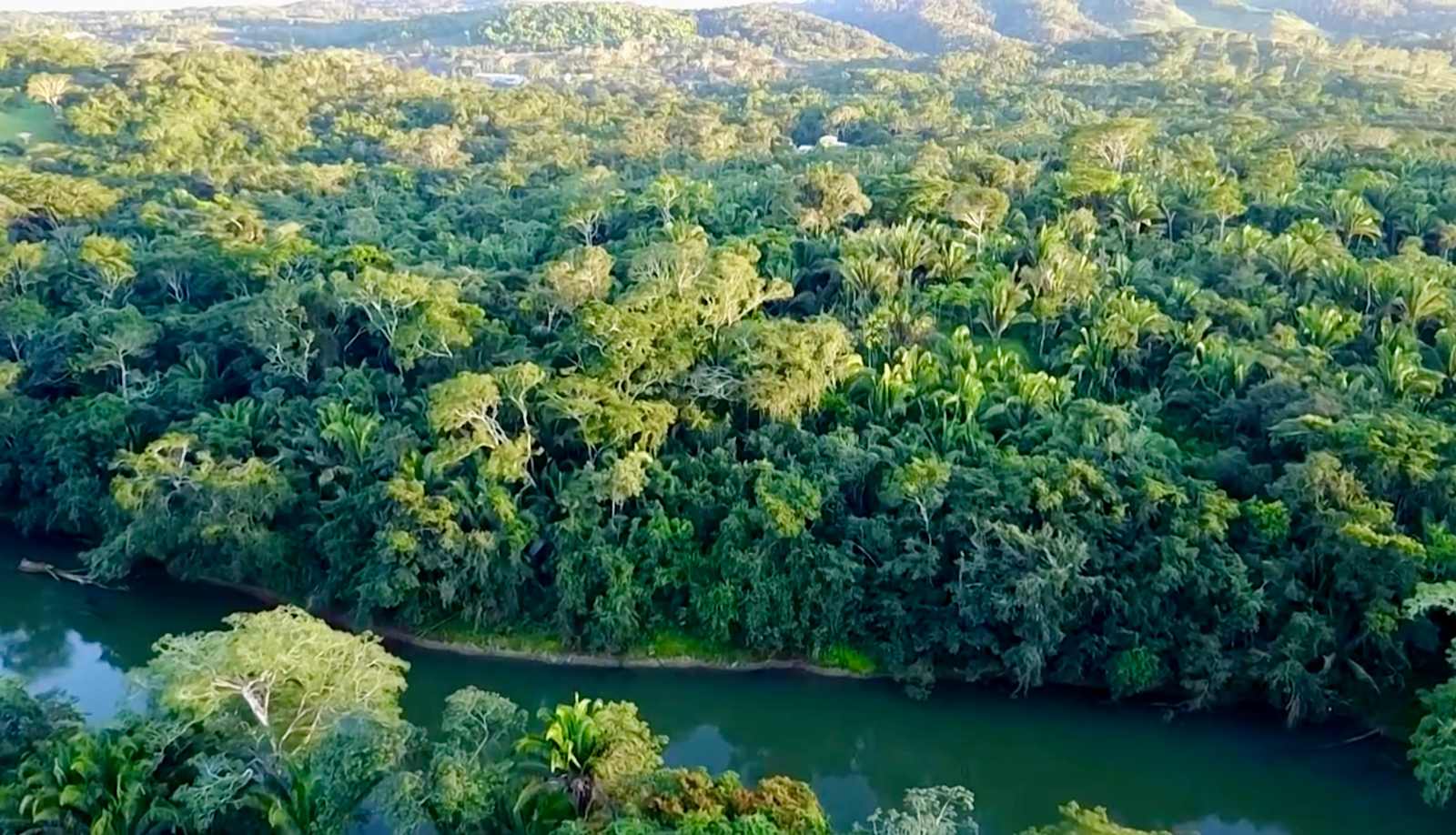 Lower Dover, San Ignacio