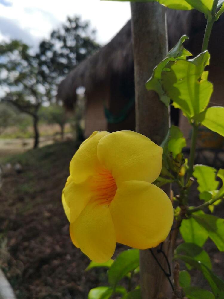 Eco Hostel Oro de Gaque, San Gil