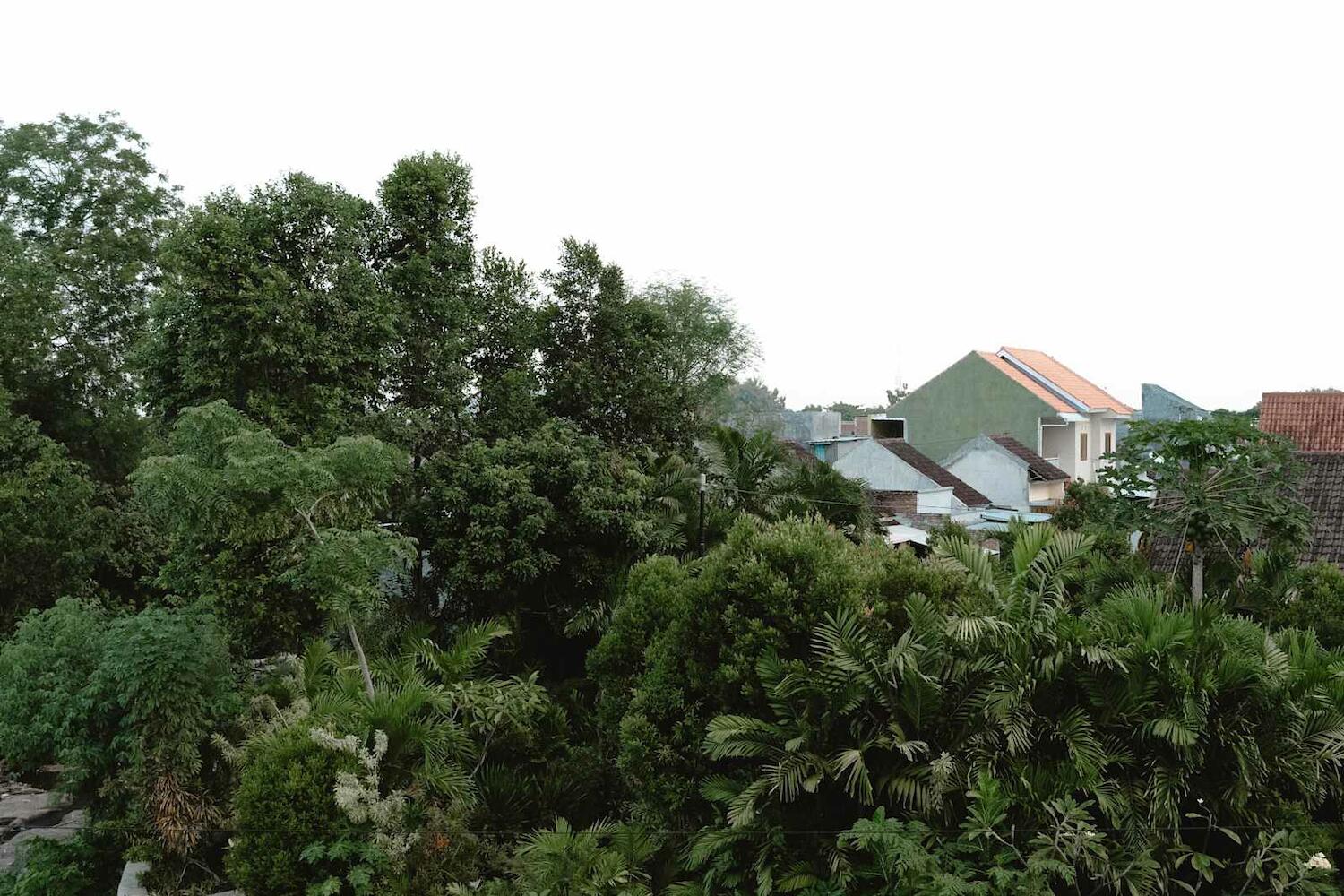 Ninap Hostel, Banyuwangi