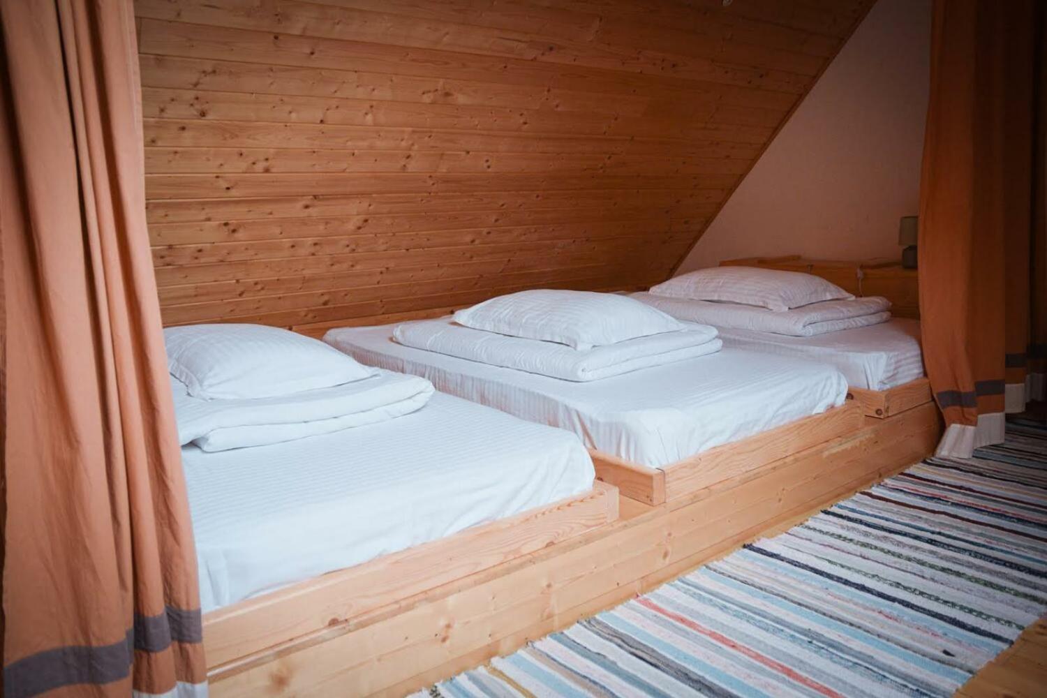 Zozo Hostel, Brașov