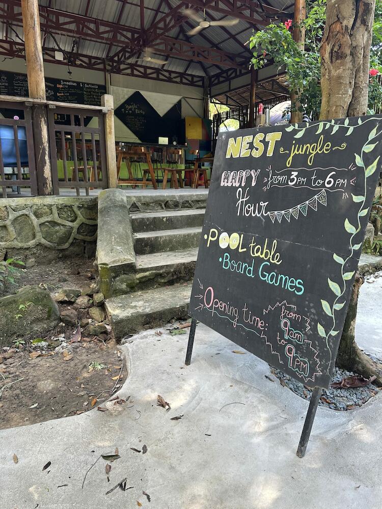 Nest Jungle