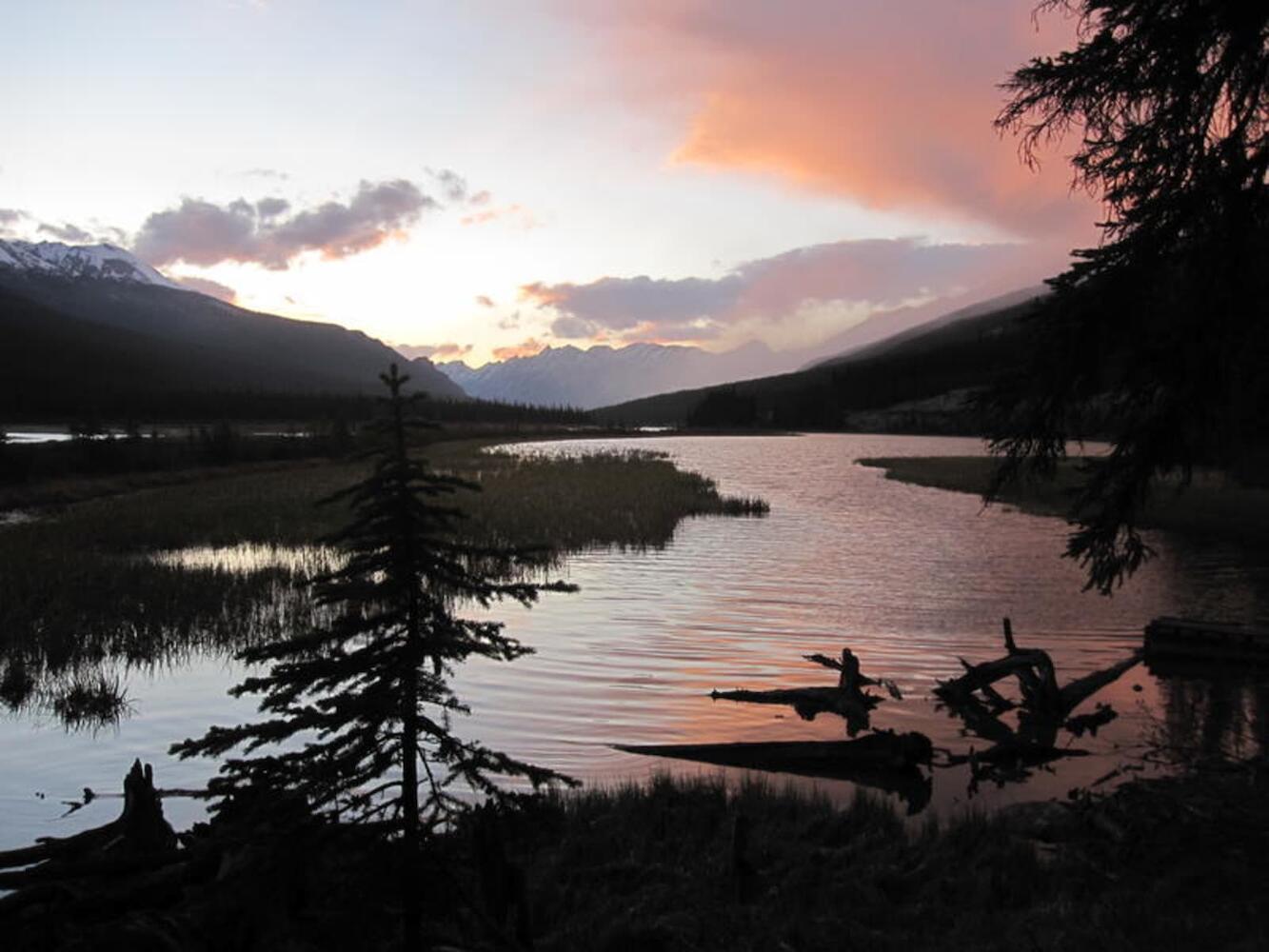 HI Beauty Creek, Jasper National Park