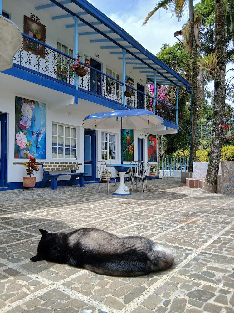 Vista Farallones Hostel, Jardin