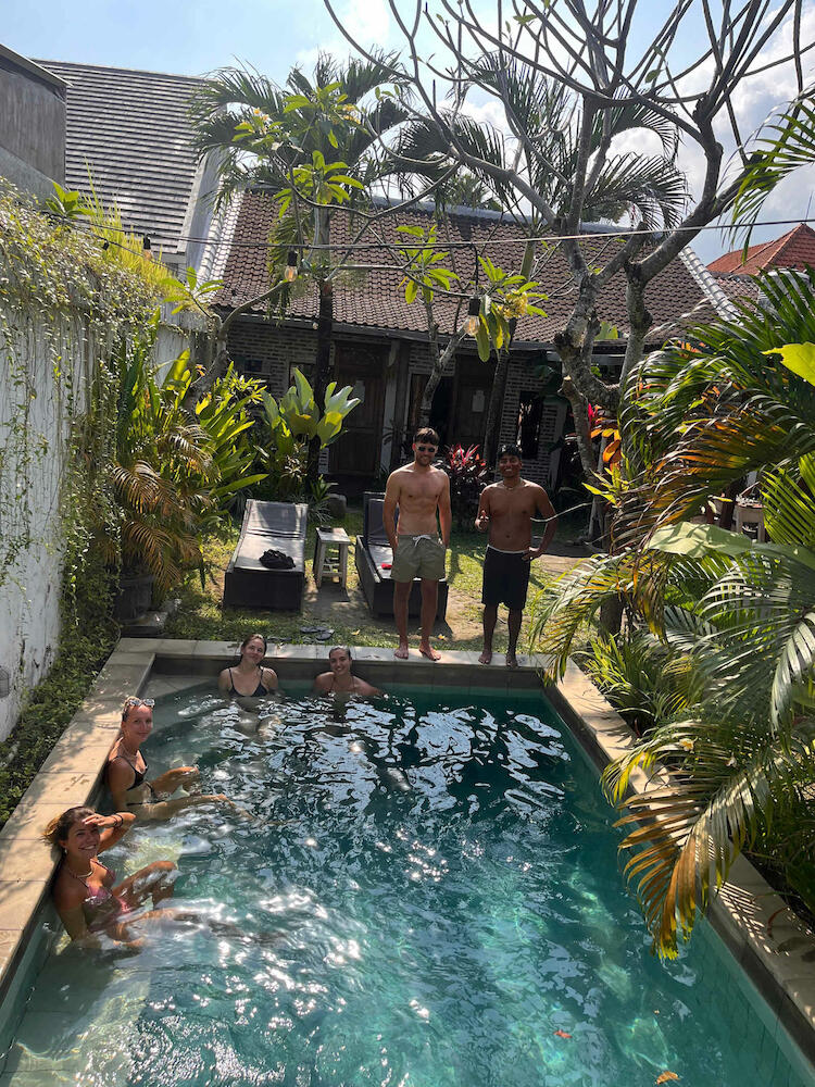 The Jungle House