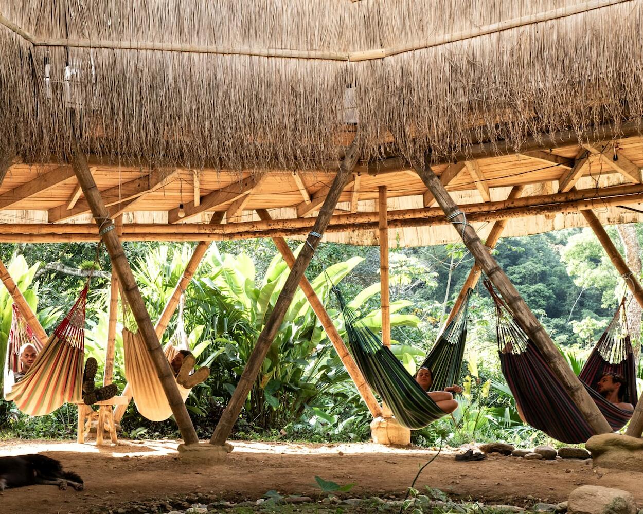 Blue Dot Jungle Eco Hostel, Buritaca