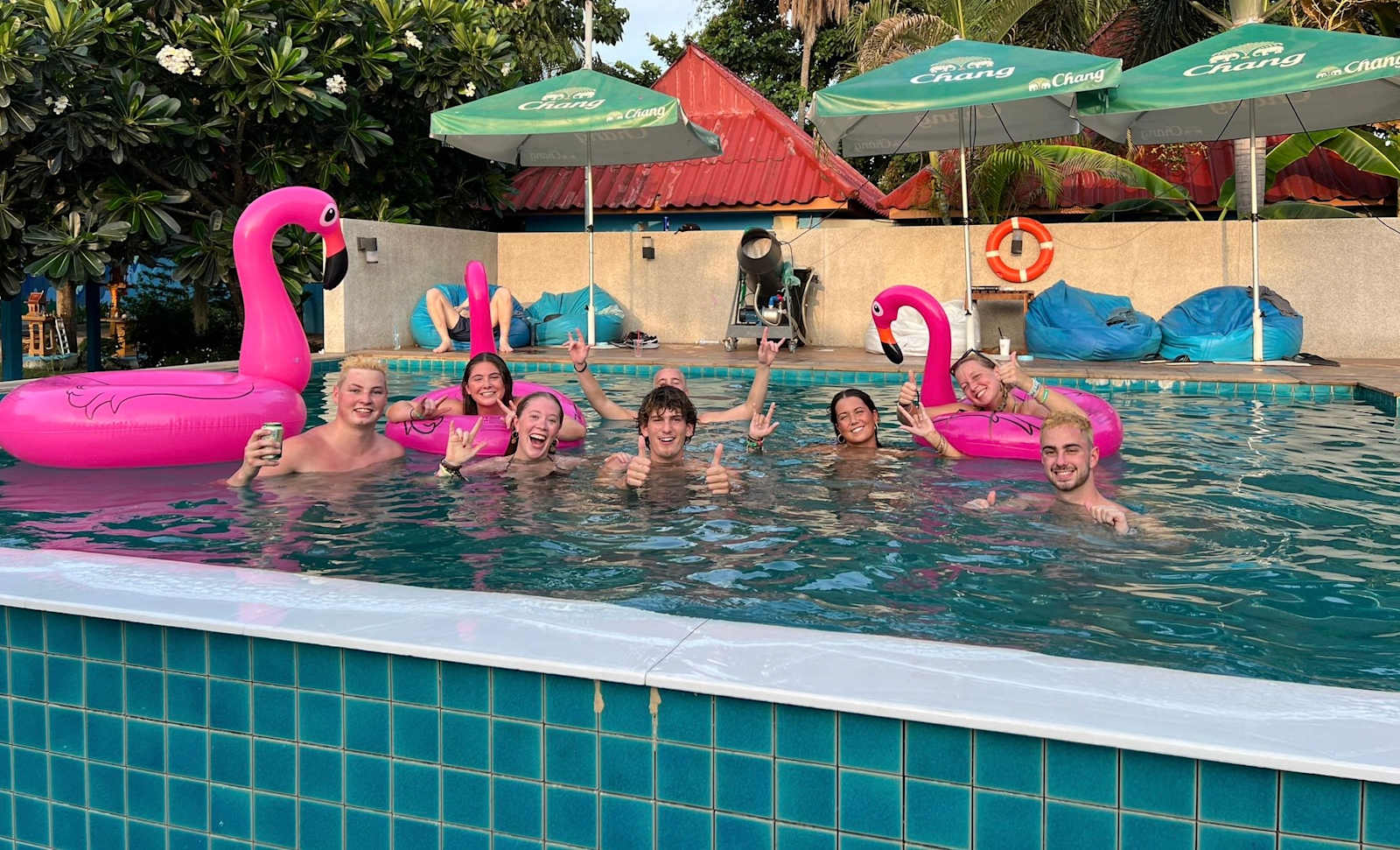 Bodega Koh Pha Ngan Pool, Koh Phangan