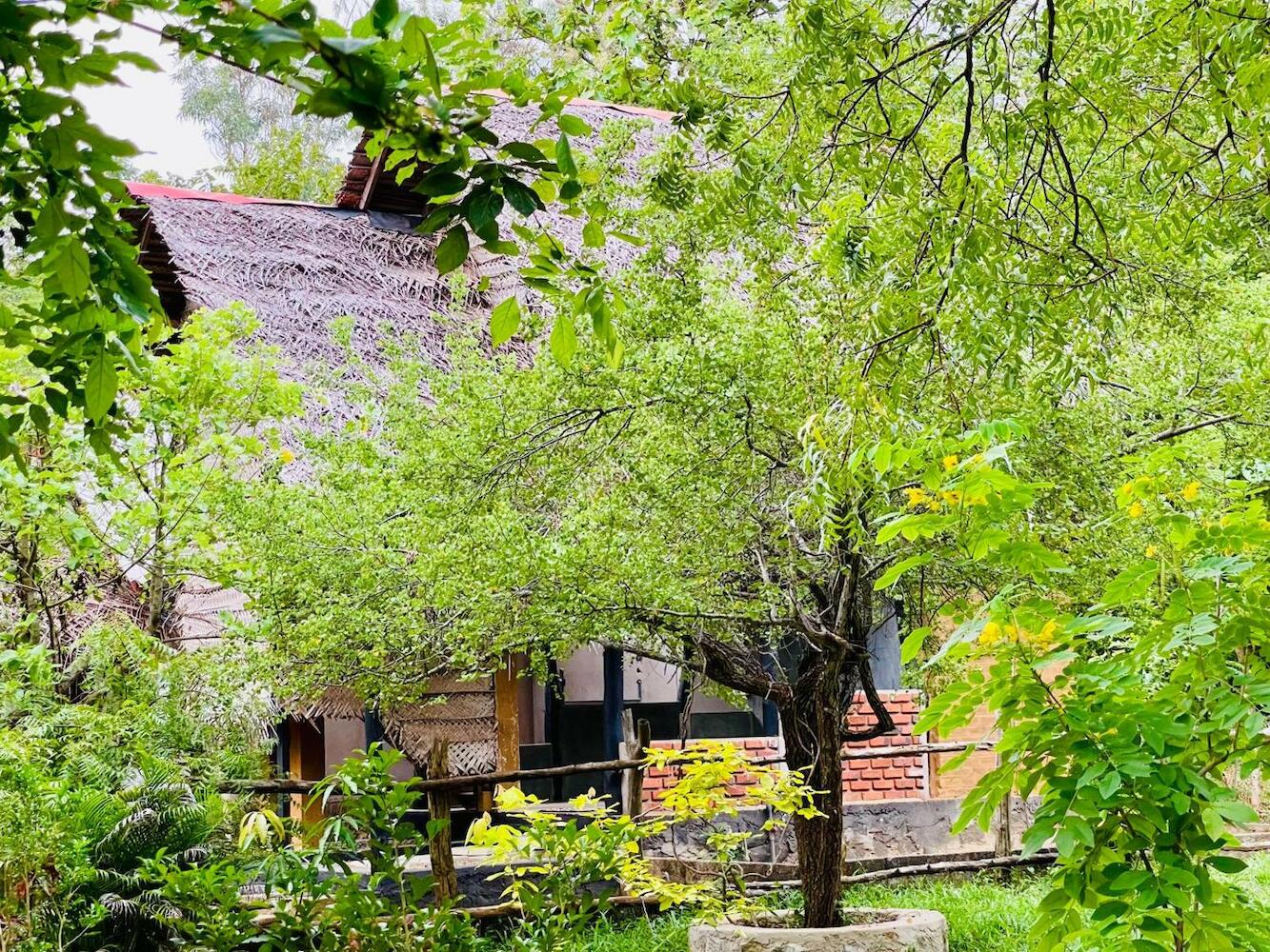Sigiriya Coconut Shade Hostel
