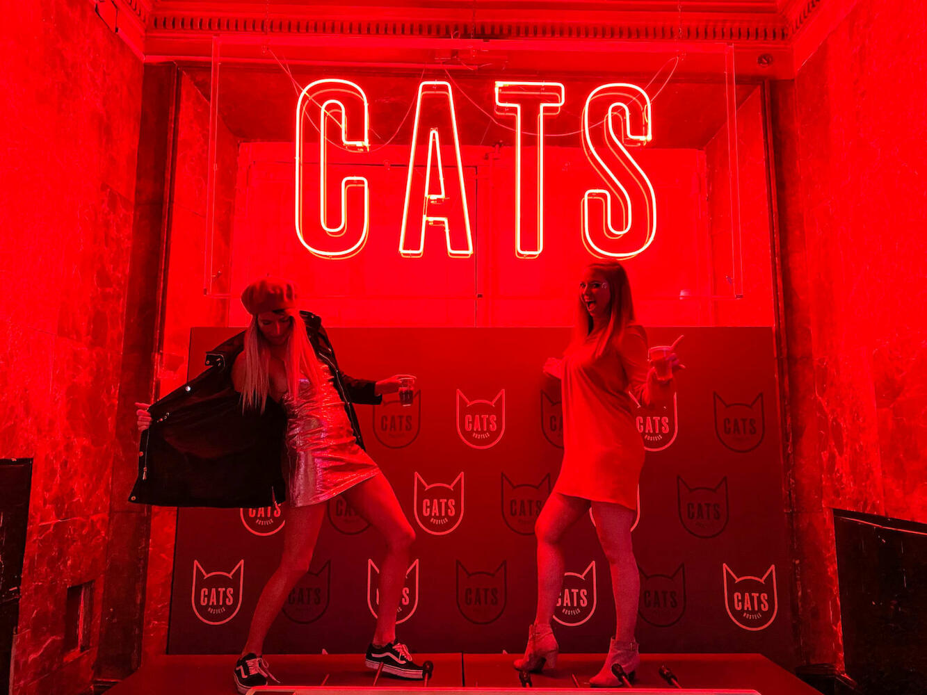 Cats Hostel Madrid Sol
