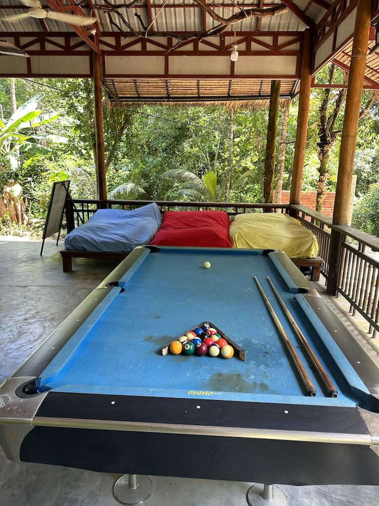 Nest Jungle