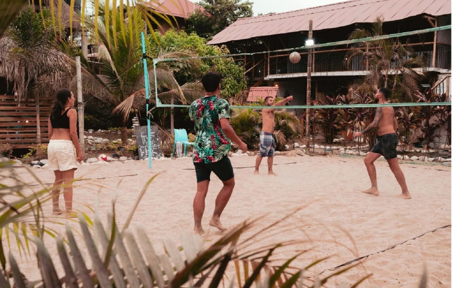 El Zoo Hostel & Pool