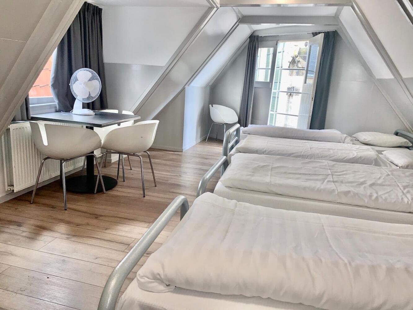 The White Tulip Youth Hostel in Amsterdam Prices 2021 (How to compare?)