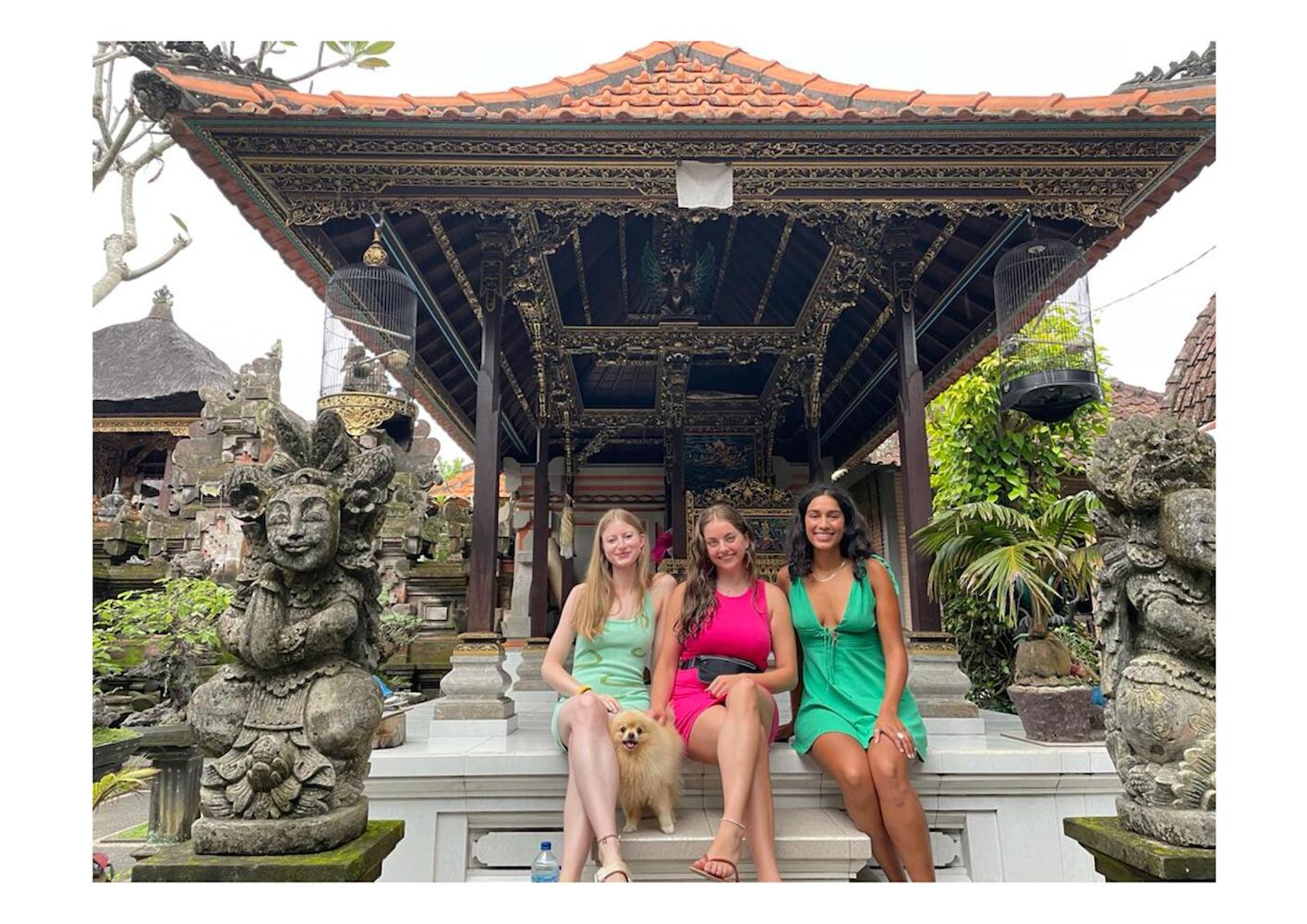 The Wayan House