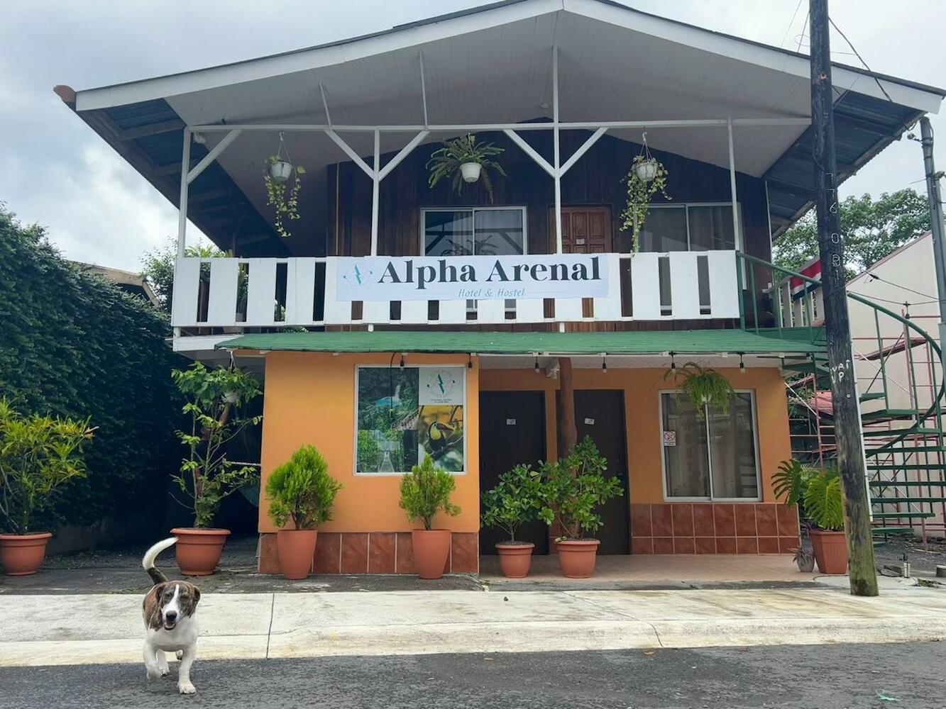 Alpha Arenal Hostel, La Fortuna