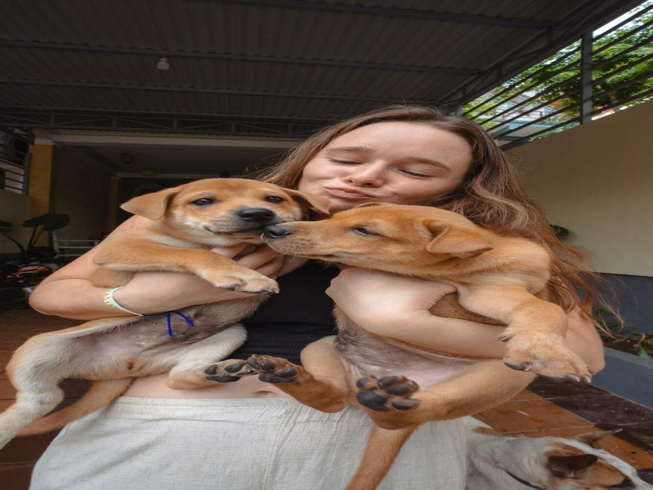 Phong Nha Homie Home, Phong Nha