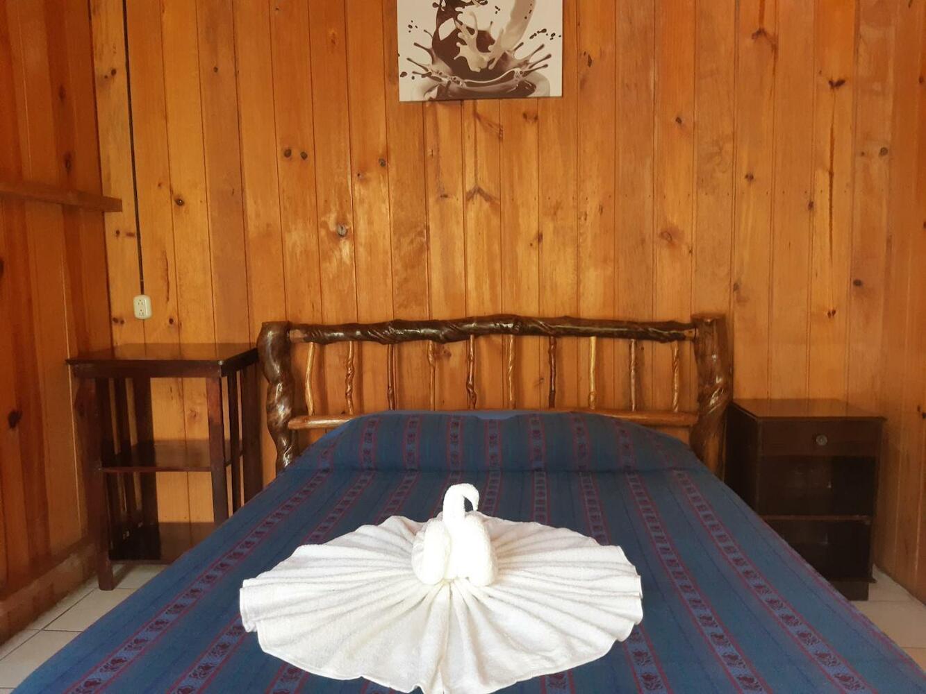 Hostal Oasis The Traveler