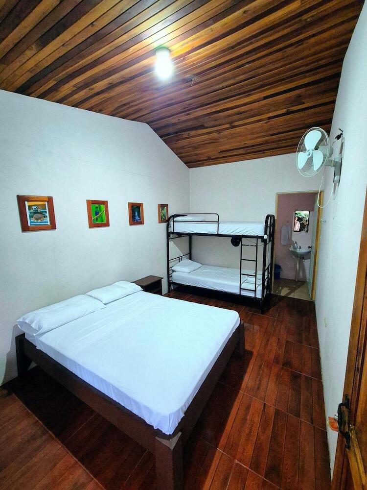 Alpha Arenal Hostel, La Fortuna
