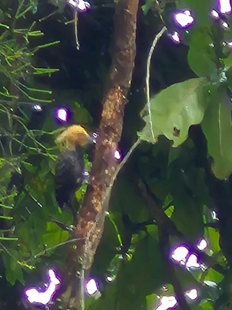 Hostel Soteropolitano, São Sebastião