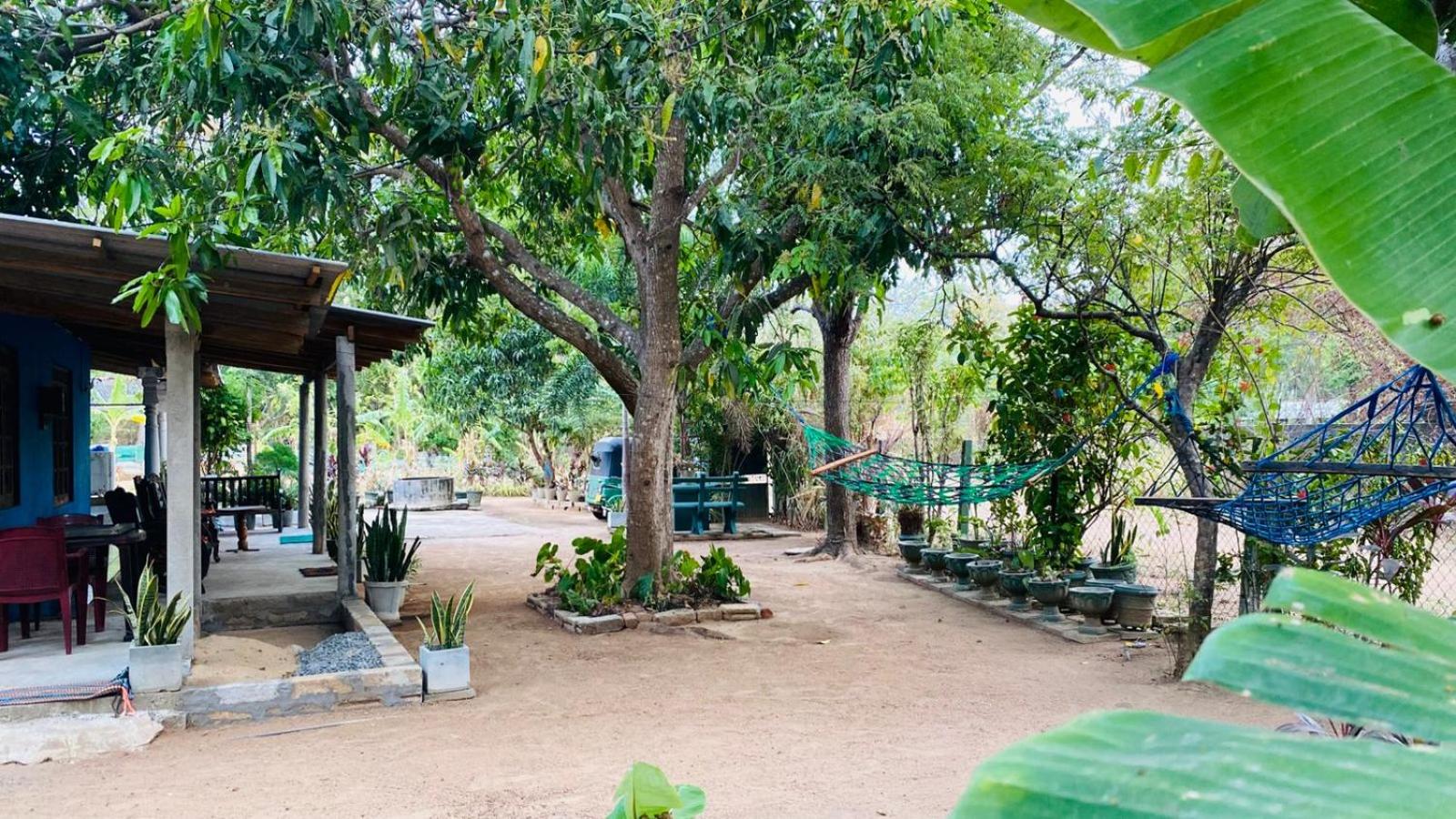 Night Owl Hostel, Sigiriya