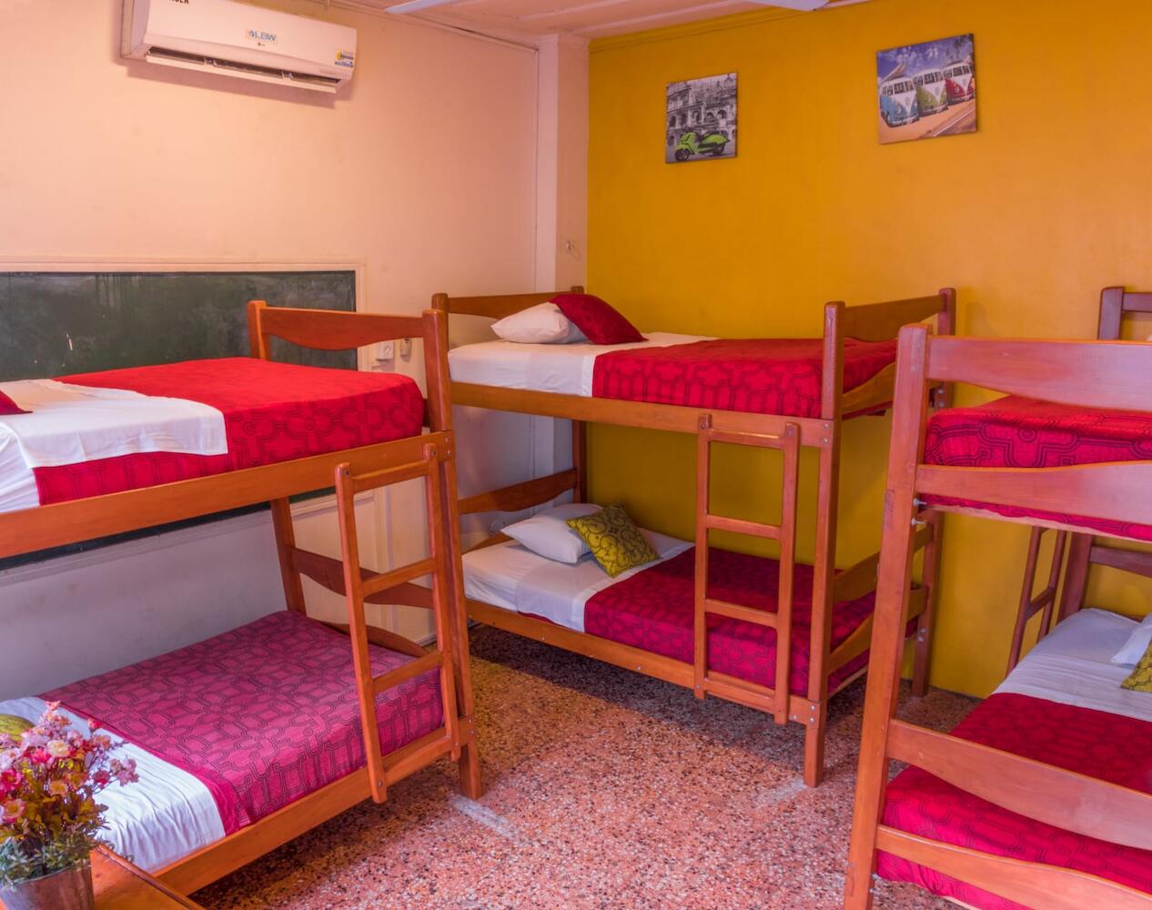 Flying Dog Hostel