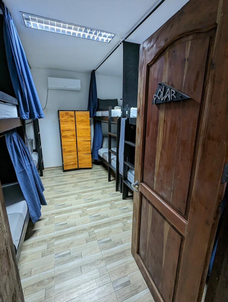 Crazy Bears Hostel