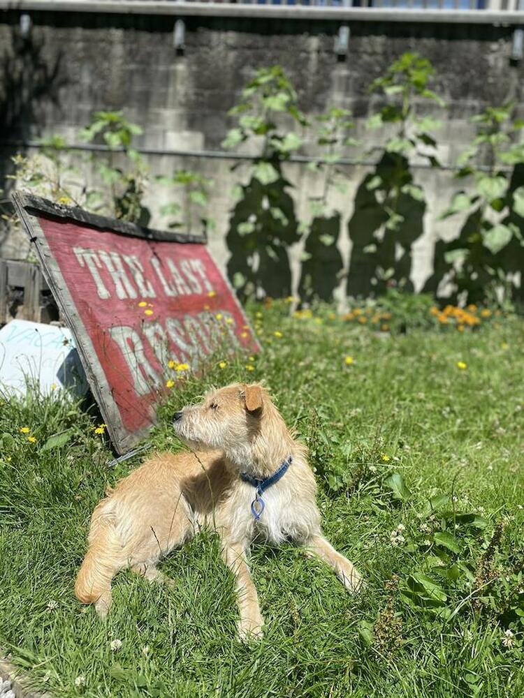 The Last Resort QTN, Queenstown