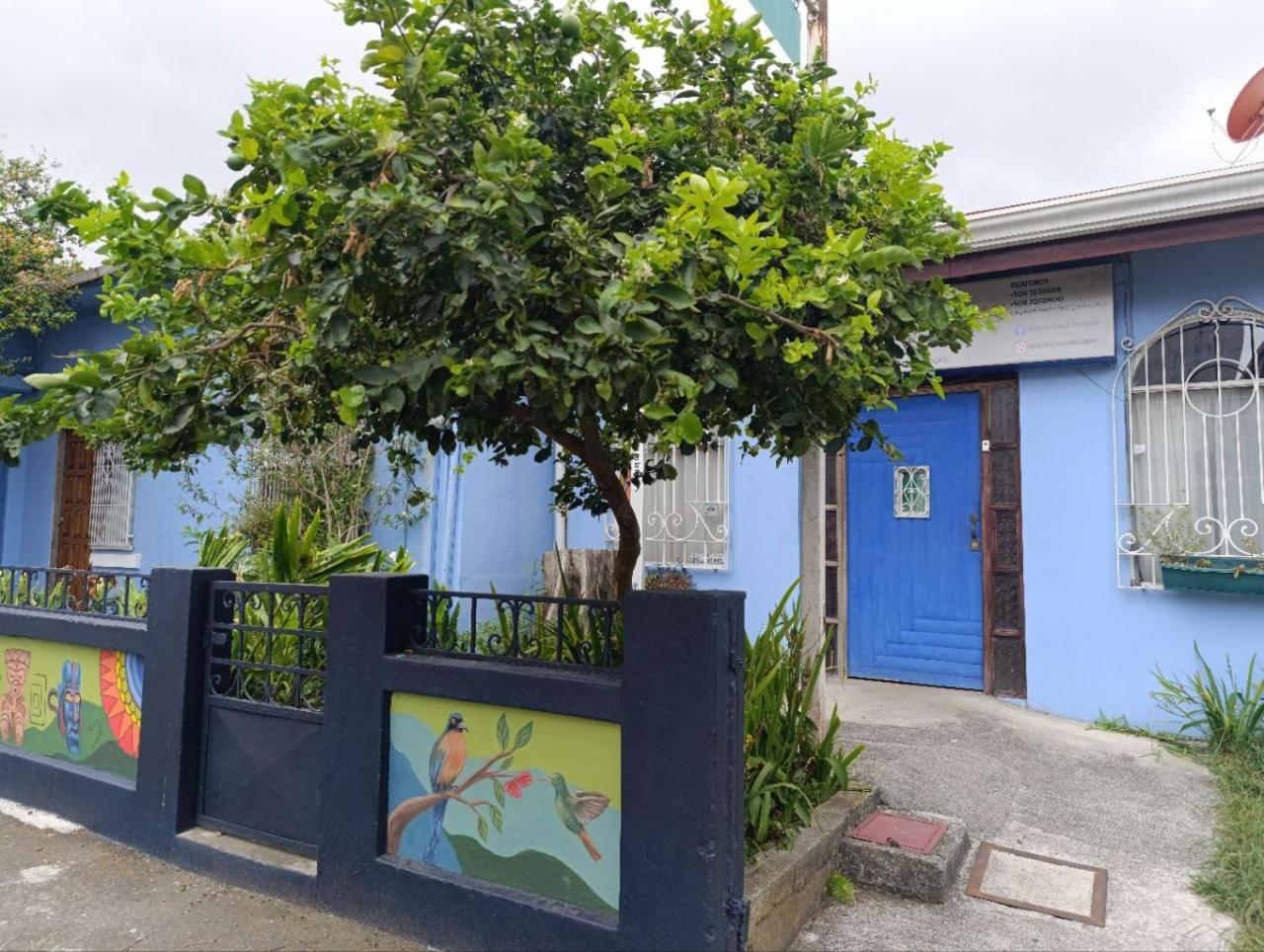 Hostel Casa Ridgway, San José